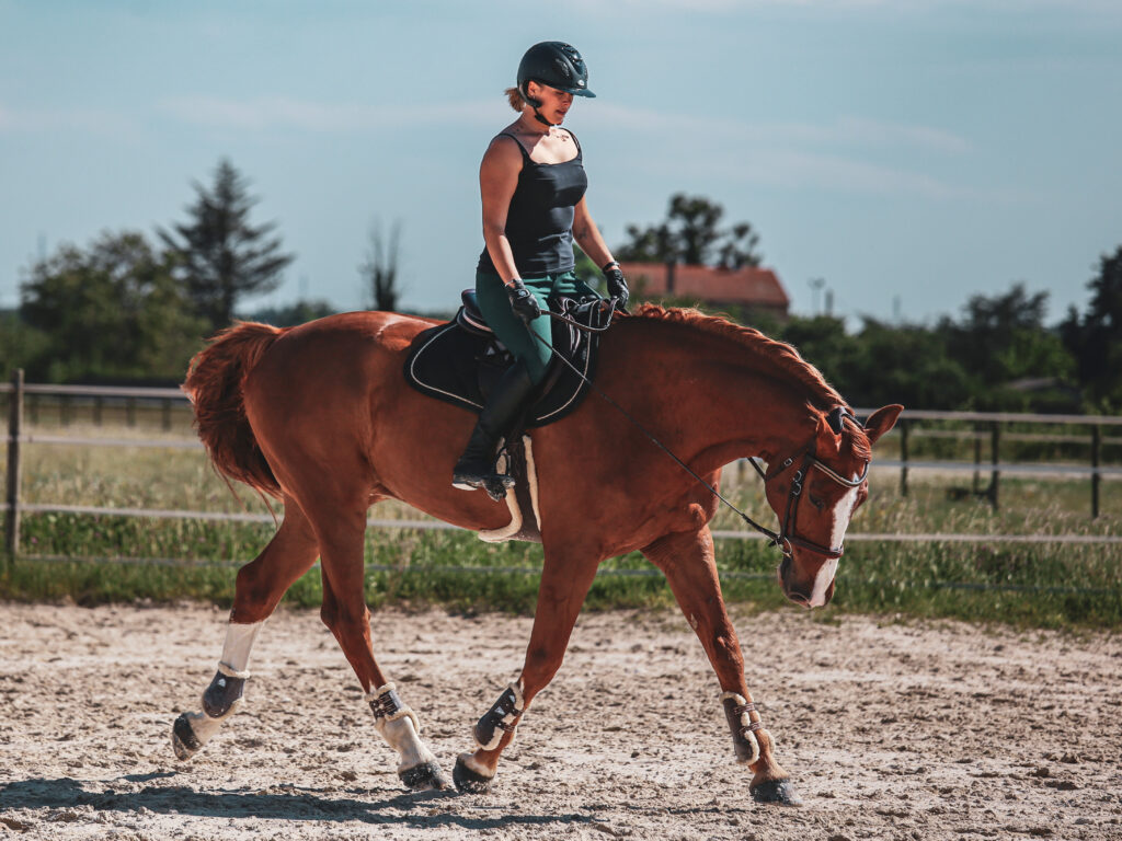 Photographie d'une cavalière à cheval