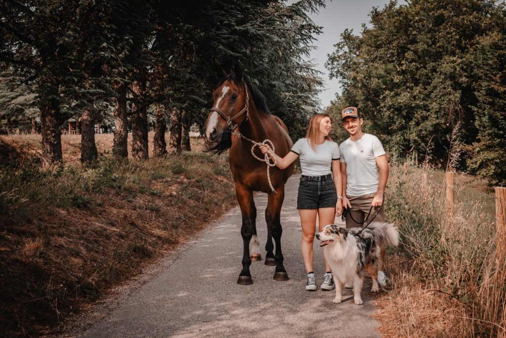 photographie animaux de compagnie